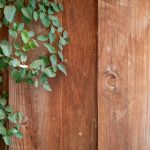 金帝在市场中的竞争优势:如何赢得消费者的青睐 55x5dsb5t