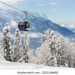 金尊娱乐的成功秘诀:创新与客户体验的完美结合 8y965q