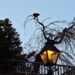 CCTV5高清直播地址全攻略:免费观看体育赛事必备链接 dmphhm