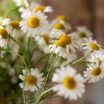 金多宝平台:探索多元化投资机会的最佳选择 ki20mh1