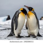 《苏州一套》在线直播:实时关注苏州本地新闻动态 m3yzjm1zu